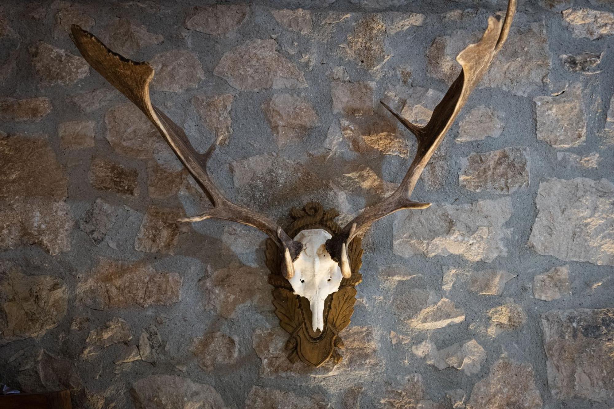 منزل الضيف San Giorgio del Sannio  في Country Relais La Torretta Baronale المظهر الخارجي الصورة