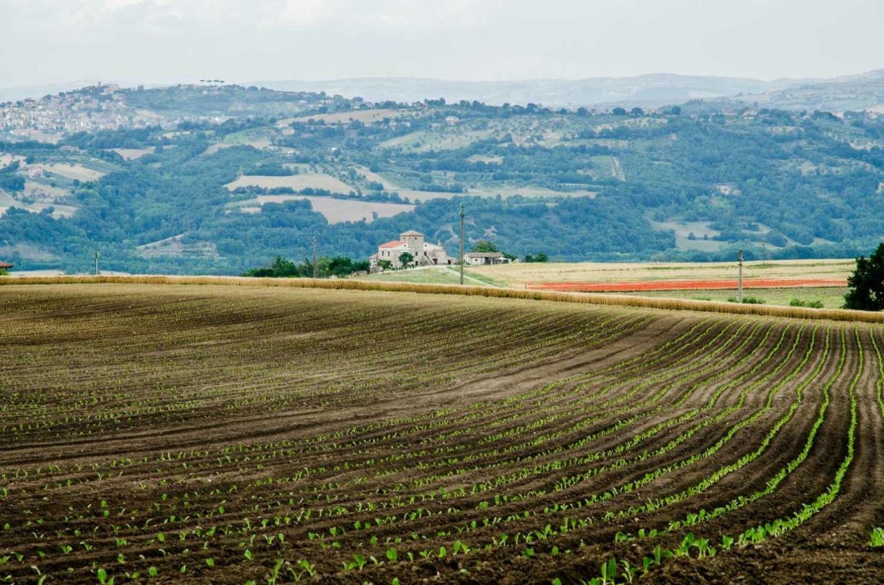 منزل الضيف San Giorgio del Sannio  في Country Relais La Torretta Baronale المظهر الخارجي الصورة